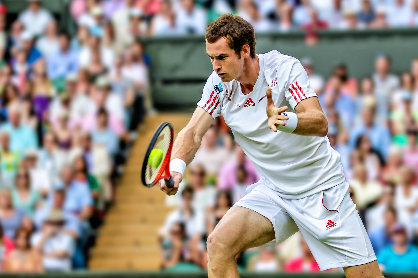 Andy Murray | Wimbledon